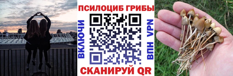 Псилоцибиновые грибы MAGIC MUSHROOMS  Купить закладки  Анива 